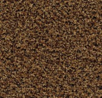 5716 Masala Brown Coral Brush Mat 1.35x2.05